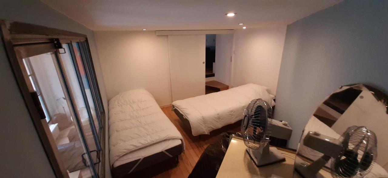 Duplex Industriel Au Coeur De Lyonアパートメント エクステリア 写真